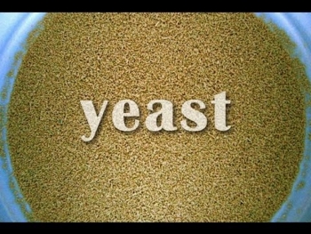 Yeast Production Industries